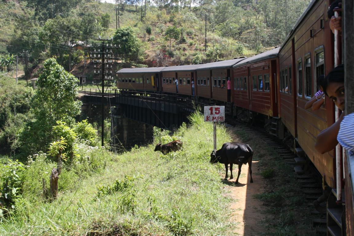 TrainRide