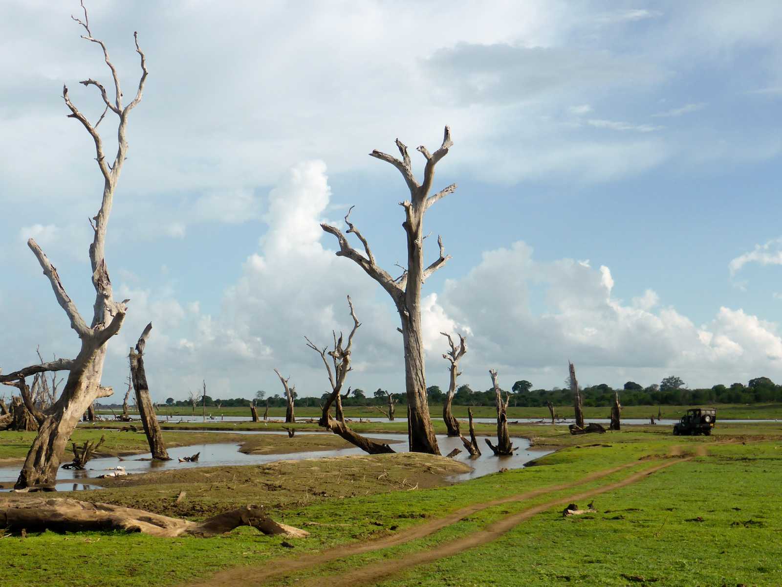 K1600_Sri Lanka 150908113804