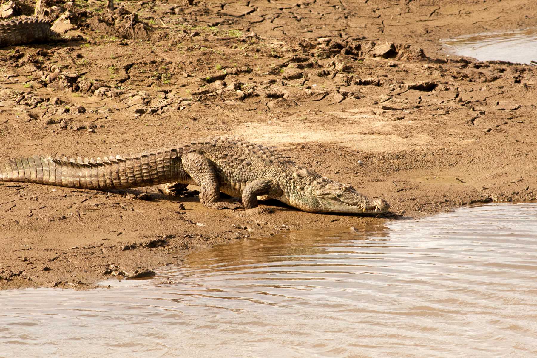 K1600_Sri Lanka 150908114649