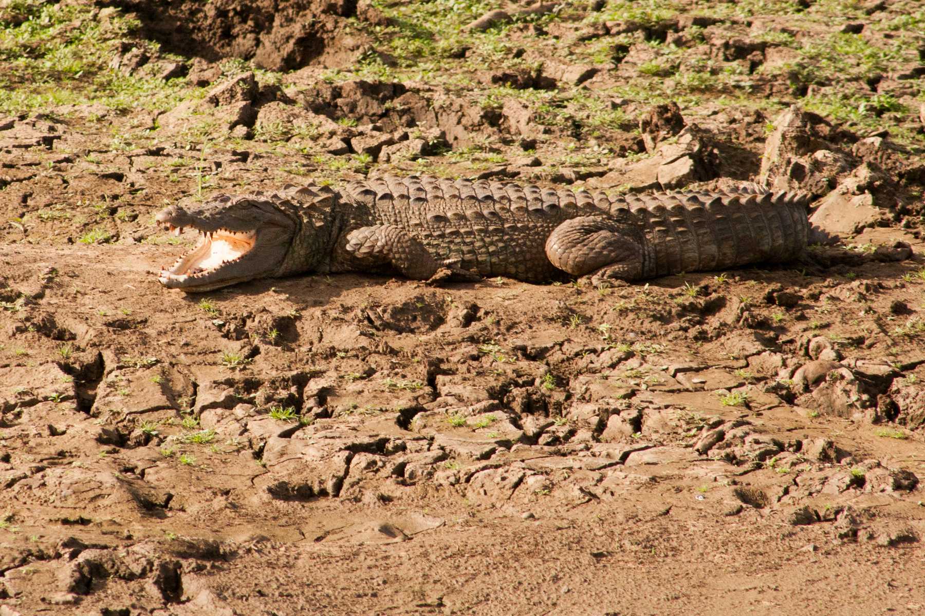 K1600_Sri Lanka 150908114742