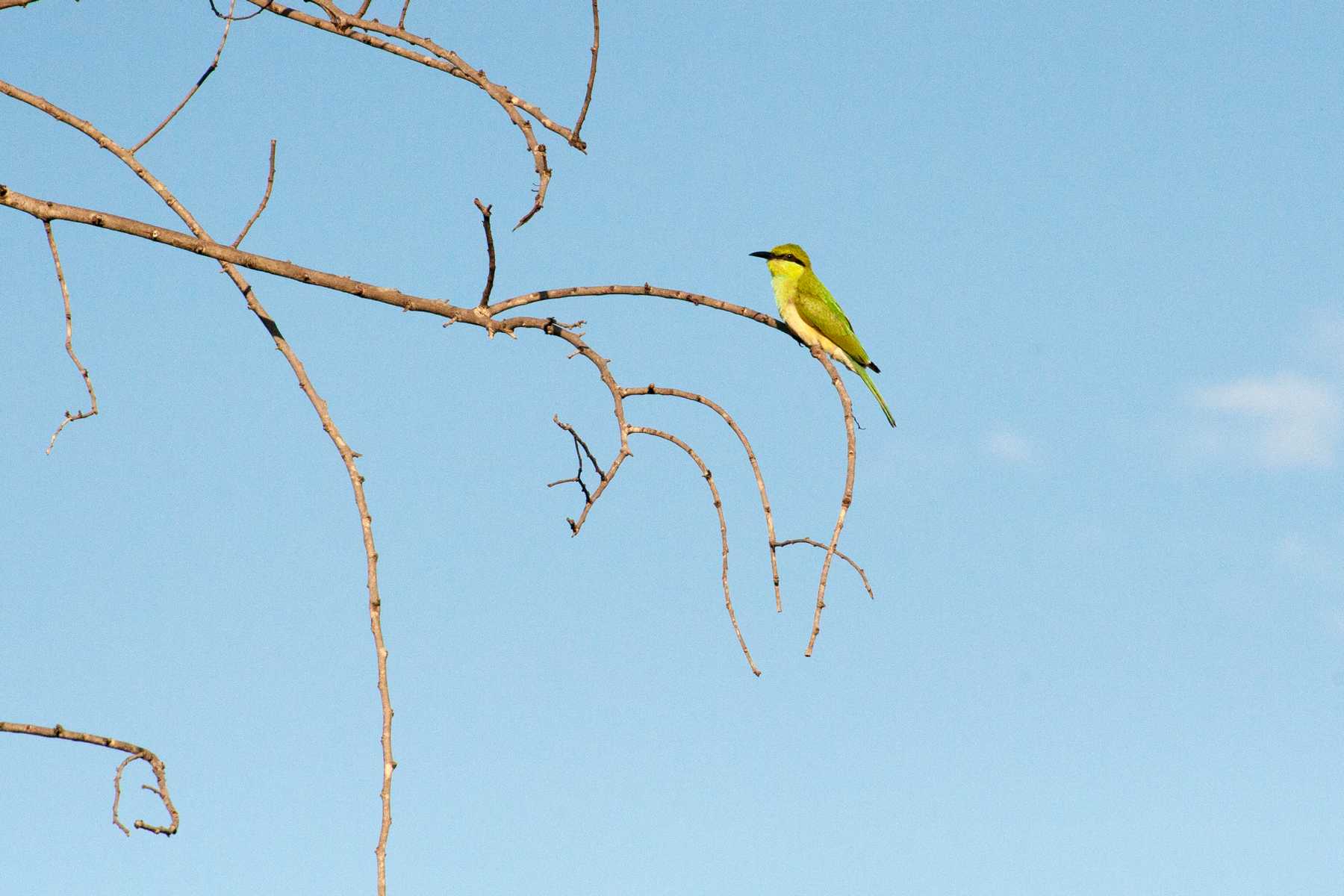 K1600_Sri Lanka 150908125052