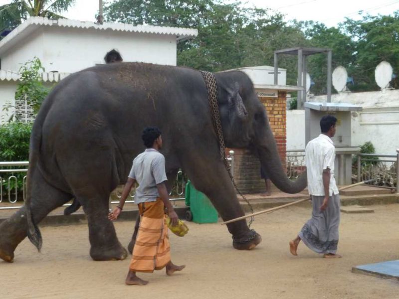 k1024 20100108 2010.01. sri lanka k1024 20100108 2010.01. sri lanka