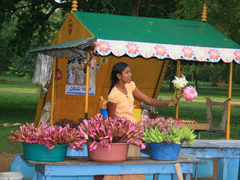 k1024 20100108 sri lanka k1024 20100108 sri lanka