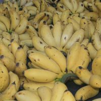k1600 img k1600 img
