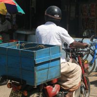 k1600 img k1600 img